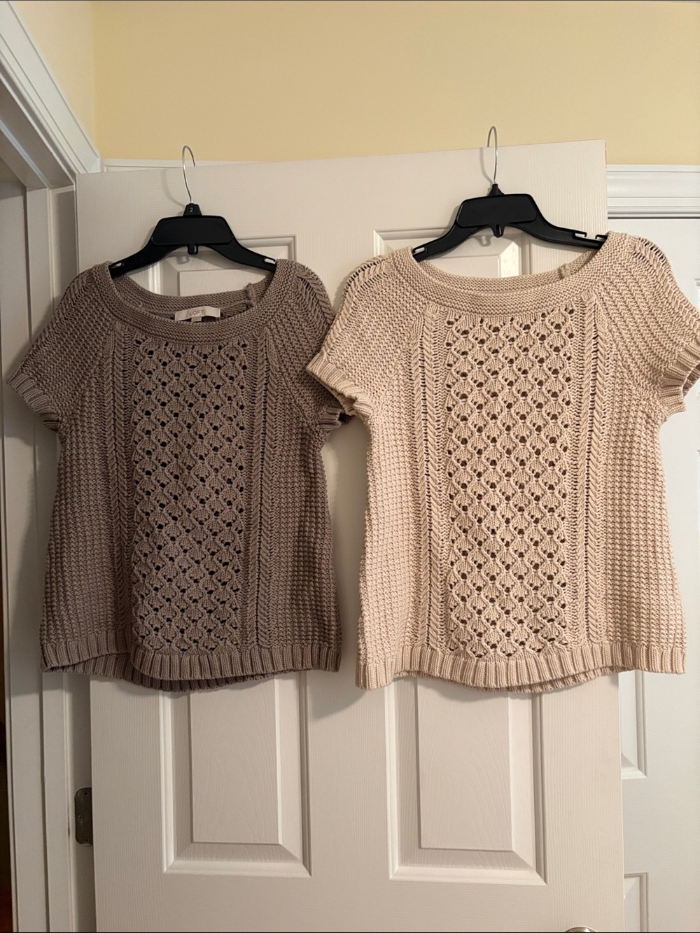 LOFT Short-Sleeve Crochet-Front Sweater - Cream & Taupe